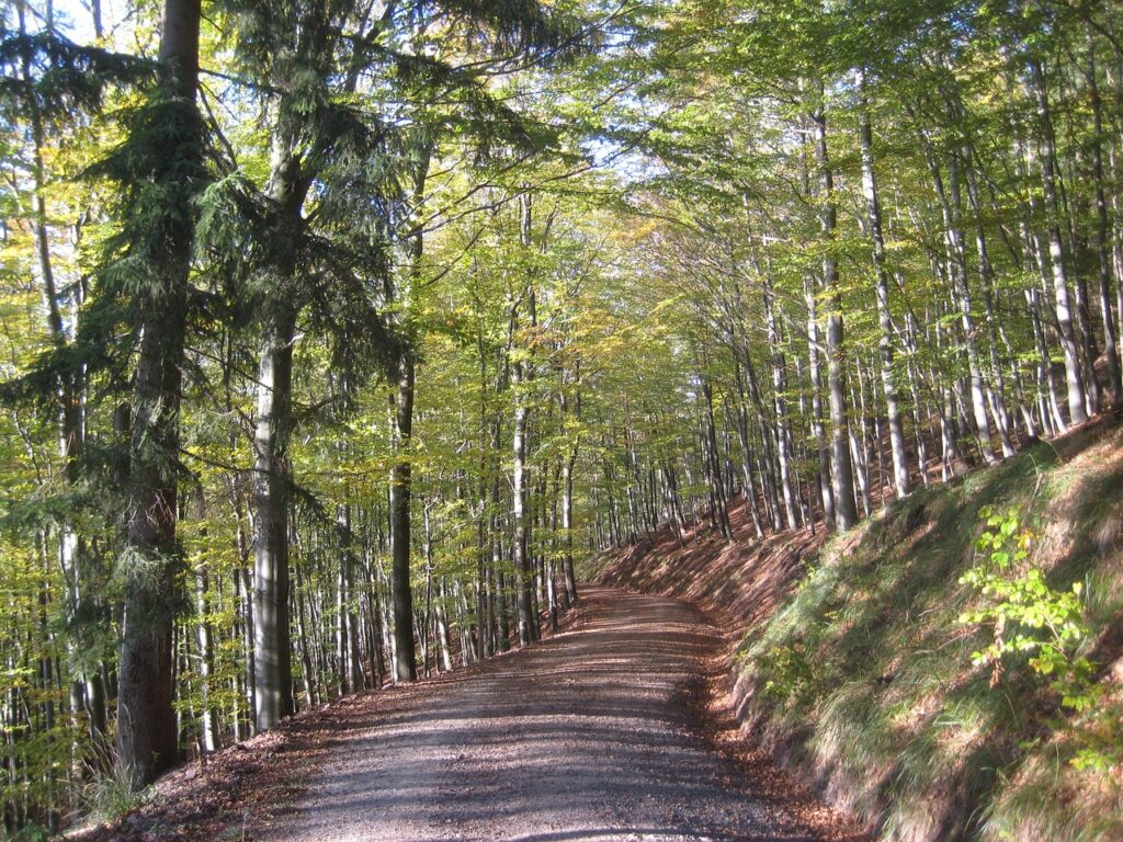 Herbstwanderung im Harz