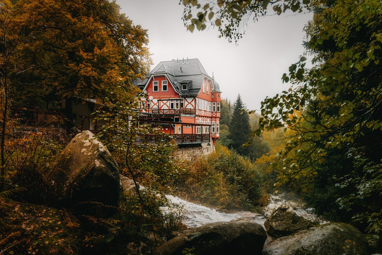 Herbstwanderung im Harz