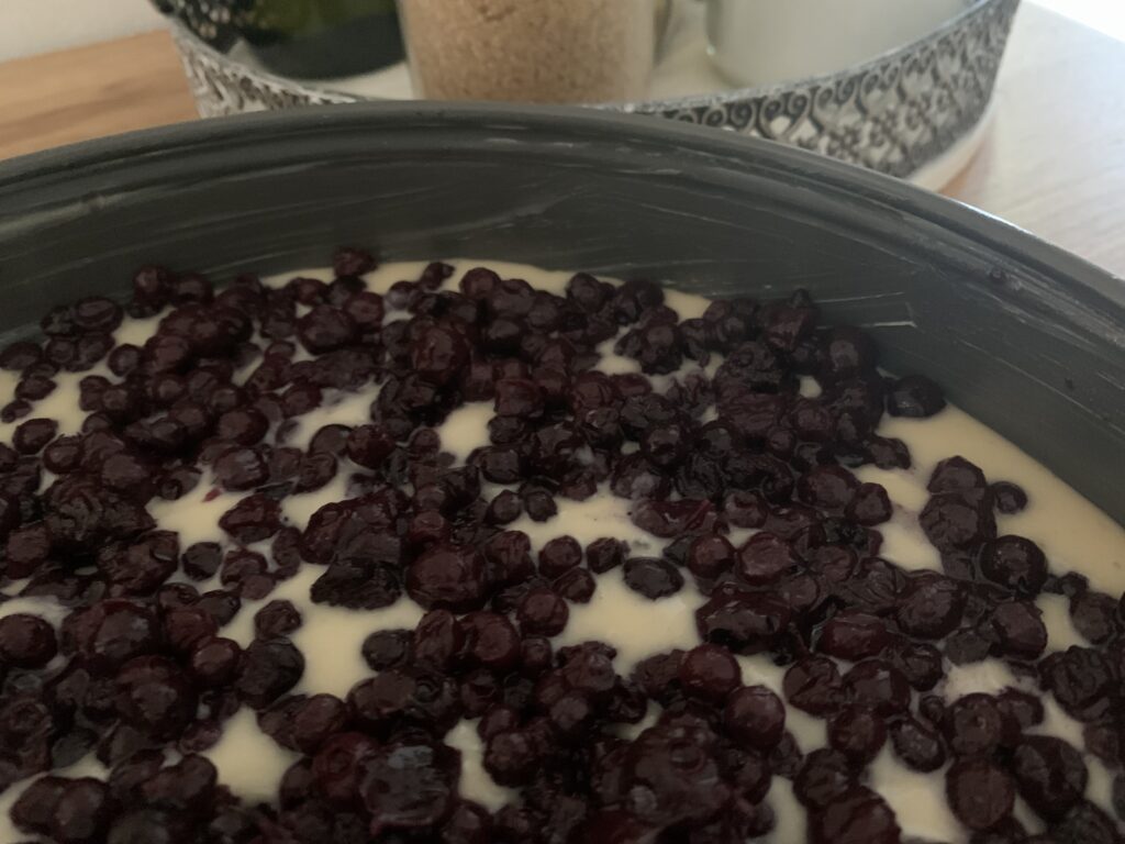 Schneller Heidelbeerkuchen
