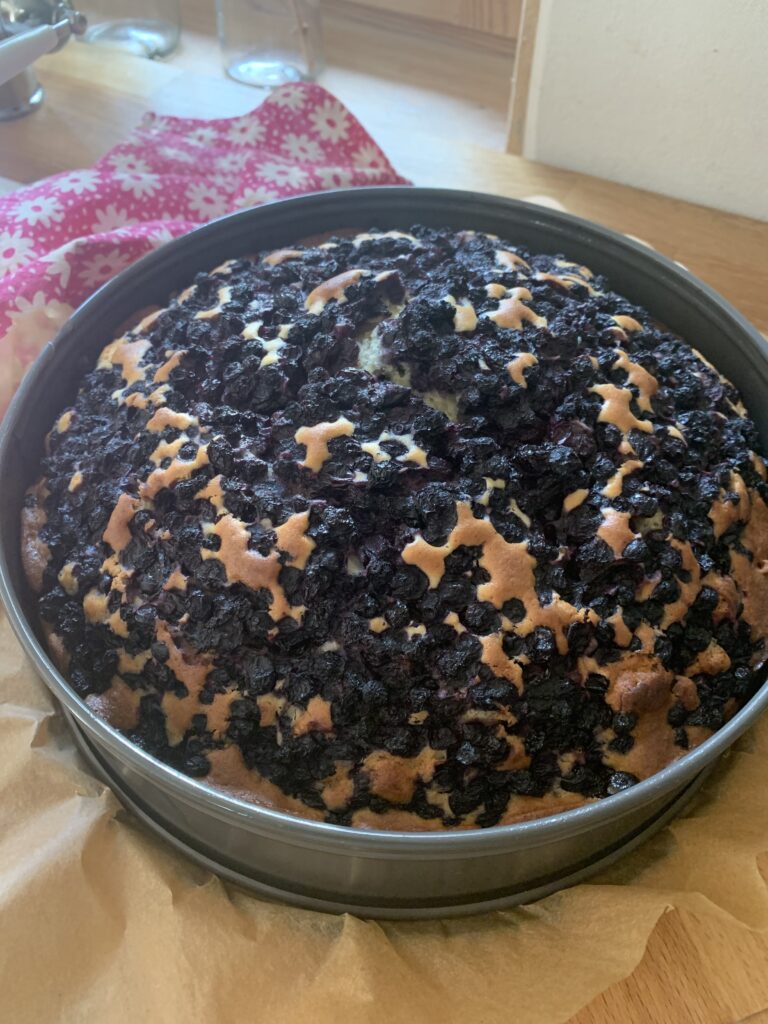 Schneller Heidelbeerkuchen