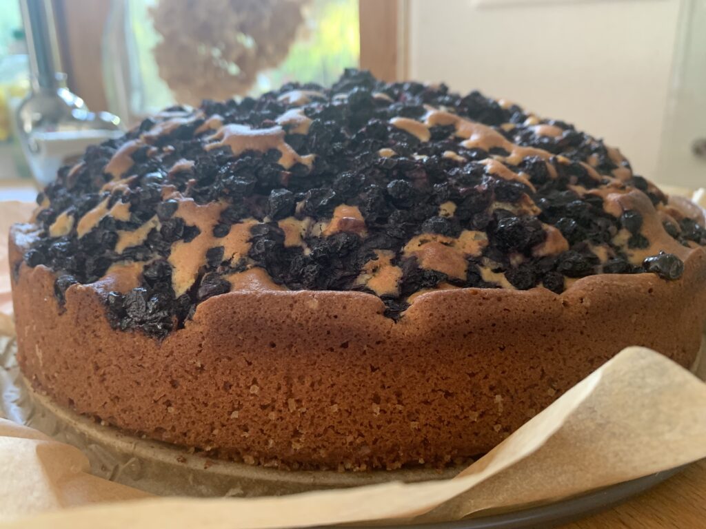 Schneller Heidelbeerkuchen