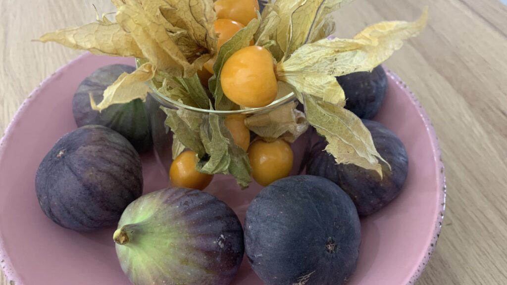 Feigen-Physalis Tête-à-Tête