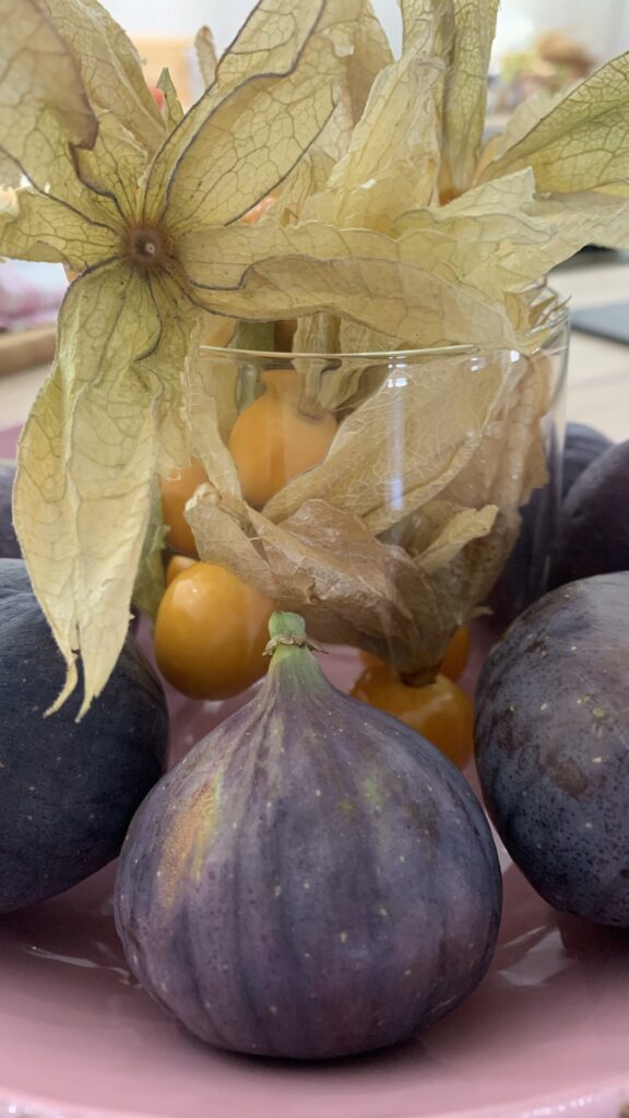 Feigen-Physalis Tête-à-Tête